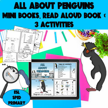 Preview of ESL SPED Penguins read aloud book, printable mini books and newcomer activities