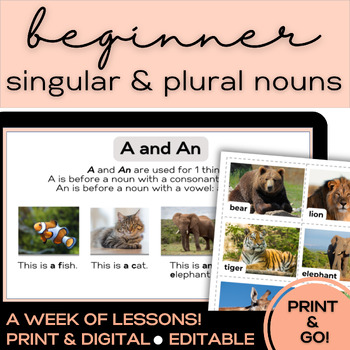 Preview of ESL Teen & Adult Newcomers - Beginner | Singular & Plural Nouns: Animals Vocab