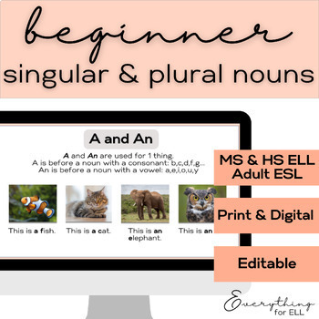 Preview of ESL Teen & Adult Newcomers - Beginner | Singular & Plural Nouns: Animals Vocab