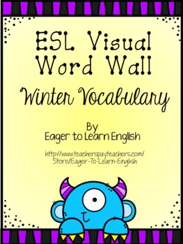 Winter Word Wall Pack (professor feito) - Twinkl