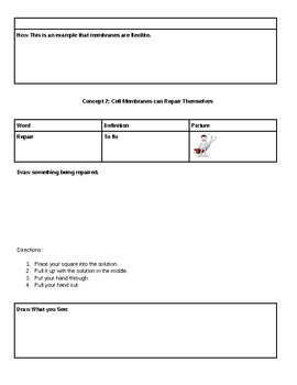 ESL cell membrane bubble lab by Classroom Community and Culture | TPT