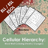 ESOL ELL ESL Cellular Hierarchy Word Wall Coloring Sheets 