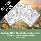ESOL ELL ESL Energy Flow Through Ecosystems Word Wall Colo
