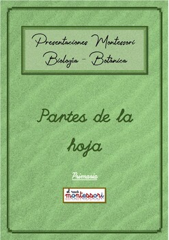 Preview of ESPAÑOL: Presentación Montessori Botanica - Partes de la Planta (la hoja)