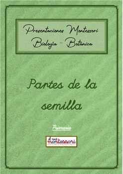 Preview of ESPAÑOL: Presentación Montessori Botanica - Partes de la Planta (la semilla)