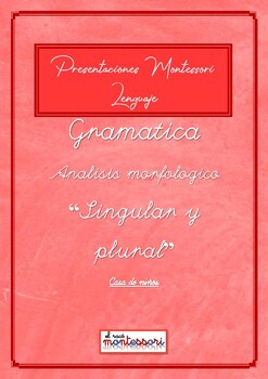 Preview of ESPAÑOL: Presentación Montessori Lenguaje-GRAMATICA (singular y plural Articulo)