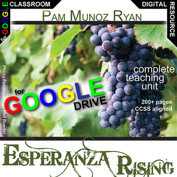 Preview of ESPERANZA RISING Novel Study Unit Plan DIGITAL ACTIVITIES Pre-reading, Projects