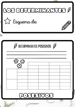 ESQUEMA DETERMINANTES by WizardsTeacher | TPT