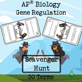 EST's AP® Biology Scavenger Hunt - Gene Regulation - Revis