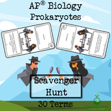 EST's AP® Biology Scavenger Hunt - Prokaryotes - Revision Game
