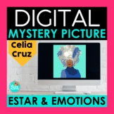ESTAR and Emotions Digital Mystery Picture | Celia Cruz Pixel Art