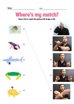 Preview of ESY ASL Sign-to-Picture Matching - Ocean Animals