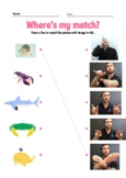 ESY ASL Sign-to-Picture Matching - Ocean Animals