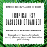 ESY Extended School Year Lesson Planner
