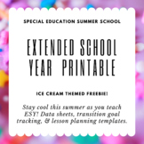 ESY Extended School Year Special Education Summer School P
