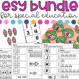 ESY Extended School Year Bundle for Special Education