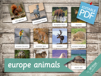 EUROPE ANIMALS • 28 Editable Montessori 3-part Cards • Flash Card Home  Schooling