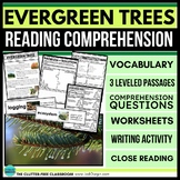 Christmas Tree Reading Comprehension Passage and Questions