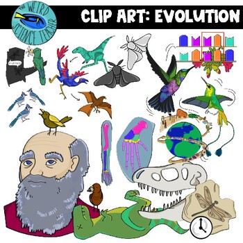 Preview of EVIDENCE FOR EVOLUTION/ CHANGE OVER TIME CLIP ART: 30 PNG IMAGES- COLOR AND BW