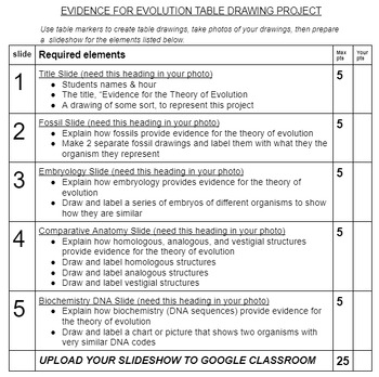 Preview of EVIDENCE FOR EVOLUTION TABLE DRAWINGS PROJECT