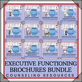 EXECUTIVE FUNCTIONING BROCHURE BUNDLE - 20 Brochures