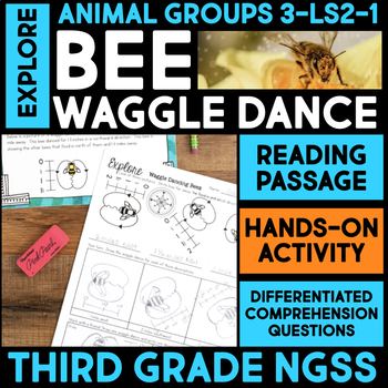EXPLORE Bee Waggle Dance Animal Group Behavior 3rd Grade by What I Have  Learned