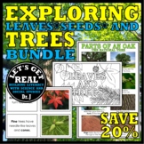 EXPLORING LEAVES, SEEDS, AND TREES BUNDLE (The Forest Biome)