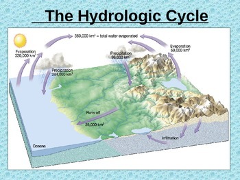 Preview of EXTENSIVE Water Cycle, Rivers, River Systems, and Watershed PowerPoint Notes
