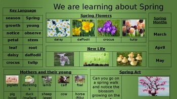 Preview of EYFS/YEAR 1 Knowledge Organiser - Spring