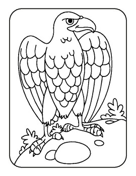 Explosive Eagles' Coloring Book