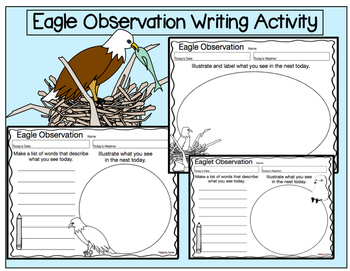 Preview of Eagle Observation Writing Activity