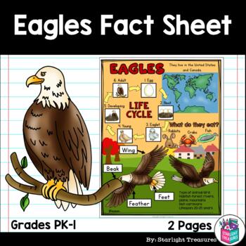 Preview of Eagles Fact Sheet for Early Readers - Animal Study