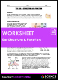 Ear Anatomy - Structure and Function of Hearing - HS-LS1-A