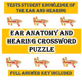 Ear Anatomy and Hearing Crossword Puzzle (Senses and Anatomy and