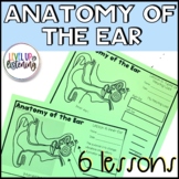 Ear Anatomy for Deaf Education | Self Advocacy Lessons 