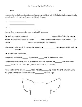 Preview of Ear Notching- Hog Identification Notes