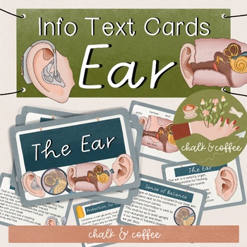 Preview of Ear Reading Cards - Info Knowledge-Cards Hearing Senses Human Body Flash Cards