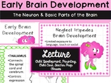 Early Brain Development- The Neuron and Basic Parts of the