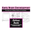 Early Brain Development- The Neuron & Basic Parts of the B