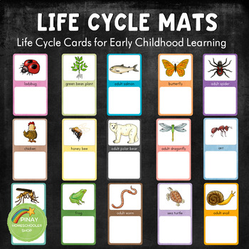 Preview of Early Childhood Life Cycle Mats