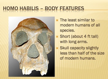 Preview of Early Humans (Hominids) Package