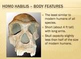 Early Humans (Hominids) Package