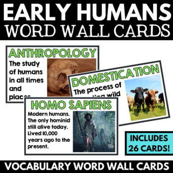 Preview of Early Humans and the Stone Age - Prehistory Word Wall Cards - Vocabulary Words