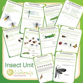 Early Learner Insect Unit Worksheets. by hidesy | TPT