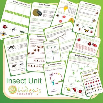 Early Learner Insect Unit Worksheets. by hidesy | TpT