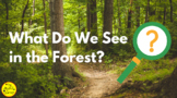 Early Reader: What Do We See in the Forest? (PDF & PNGs fo
