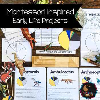 Preview of Early life research for Montessori