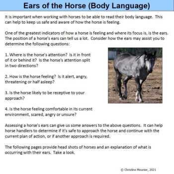 angry horse ears