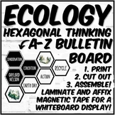 Ecology Hexagonal Thinking Bulletin Board and Activity