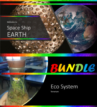 Preview of 2 in 1 carbon cycle - eco systems STEM challenging activity and assignment